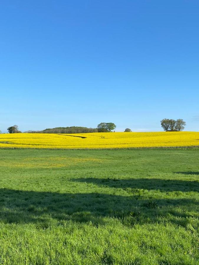 Schmuckstueck In Ostseenaehe Surendorf Exterior foto